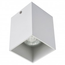 Потолочный накладной светильник белый AM Group AM01-110 WH
